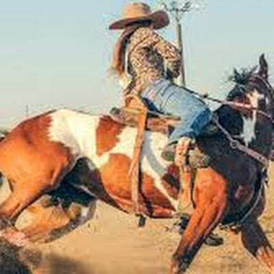 mcfarland6947's profile picture. 