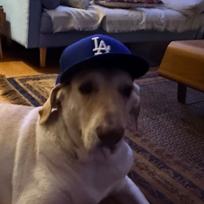 FernandoEhlers1's profile picture. 