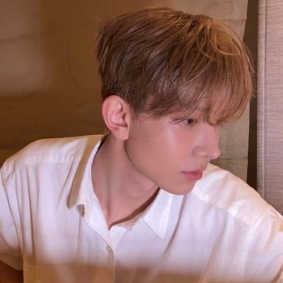 poompompurinn's profile picture. De seguro que lo vuelvo a oír.