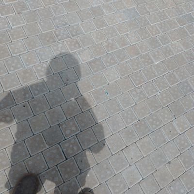 kayshimoo's profile picture. Spare parts donor