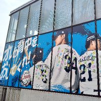 Aoringo (@aekeiete) 's Twitter Profile Photo