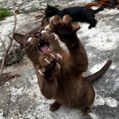 edge__universe's profile picture. For 99% | No matter how hard the day is, don’t forget to love yourself.