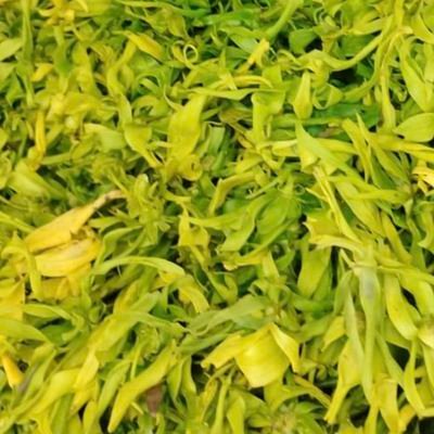 MuhSaiful287235's profile picture. 