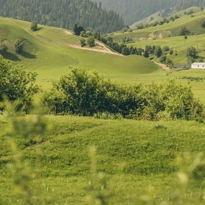 enfantdelune7's profile picture. 🤍