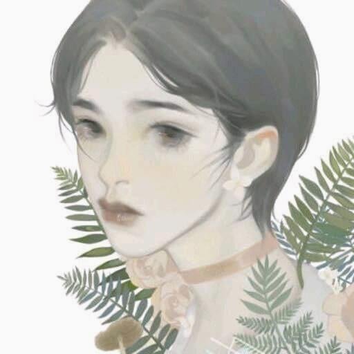 panpakapan2kh's profile picture. 