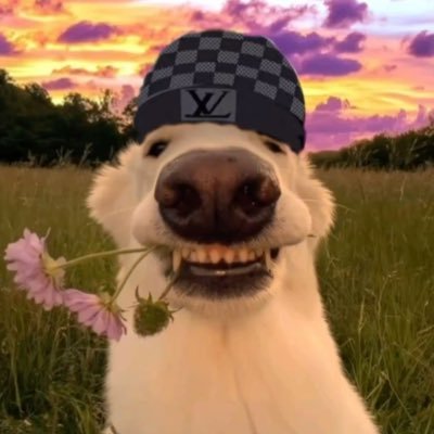 MsYochiii's profile picture. 