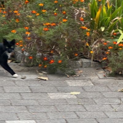 rena_960912's profile picture. 