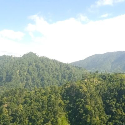 IrshadAnsa36721's profile picture. 