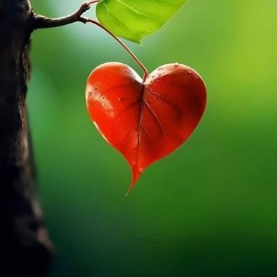 ellenzradio's profile picture. 