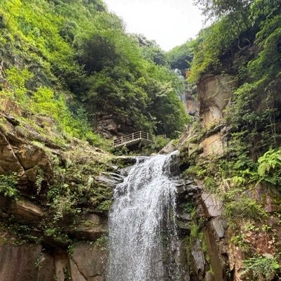 binwang41190245's profile picture. 