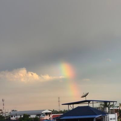 lilijuan239985's profile picture. 