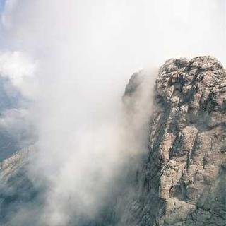 MentorCait68231's profile picture. morbidity advocate, model