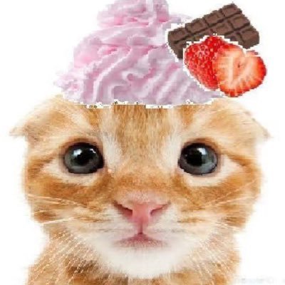 NANMOai's profile picture. 서언서난진운