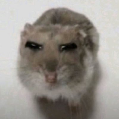 musugx's profile picture. yoonginista | OT7 | esperando a @BTS_twt