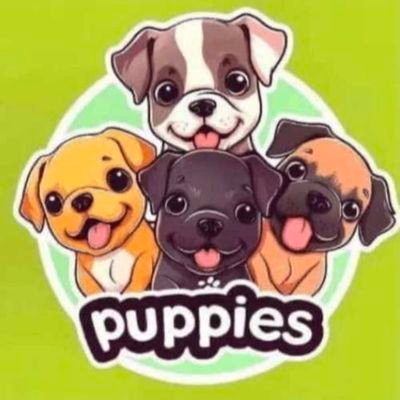 puppies8888's profile picture. 