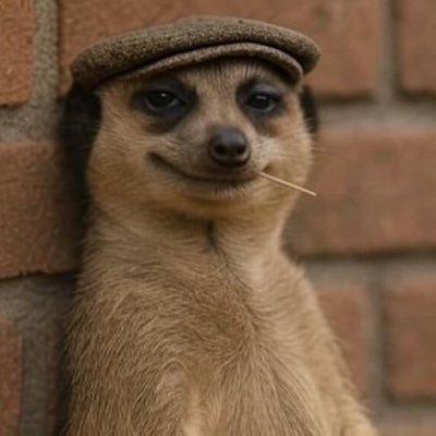 cipher_chaos's profile picture. 