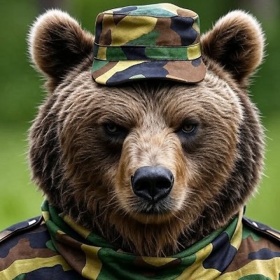 TopG1776494's profile picture. 