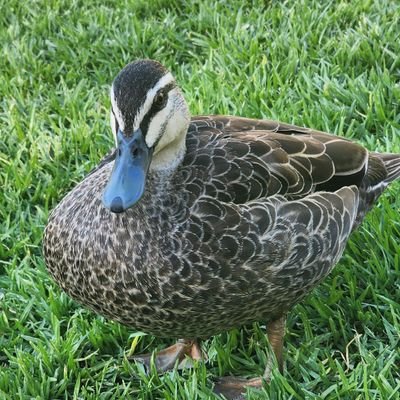 hanililoyn28's profile picture. She/her 💅