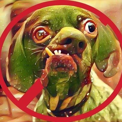 dogbuster227008's profile picture. 