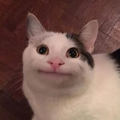 elielielizzzz_1's profile picture. 2n살 야망의 직장인 / 꿈: 세계 최고 부자 되기