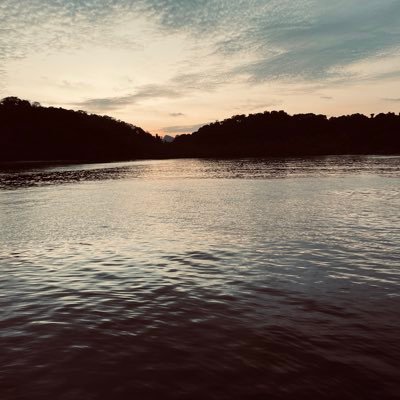 rshamr's profile picture. Damn! Everything I like is either illegal, immoral, unhealthy, expensive, impossible or dangerous! 52Hz person. an eccedentesiast