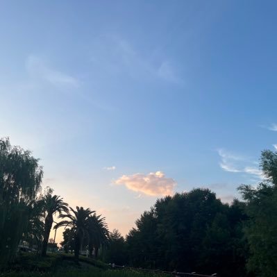 prayer71684's profile picture. 外科医生，发发牢骚