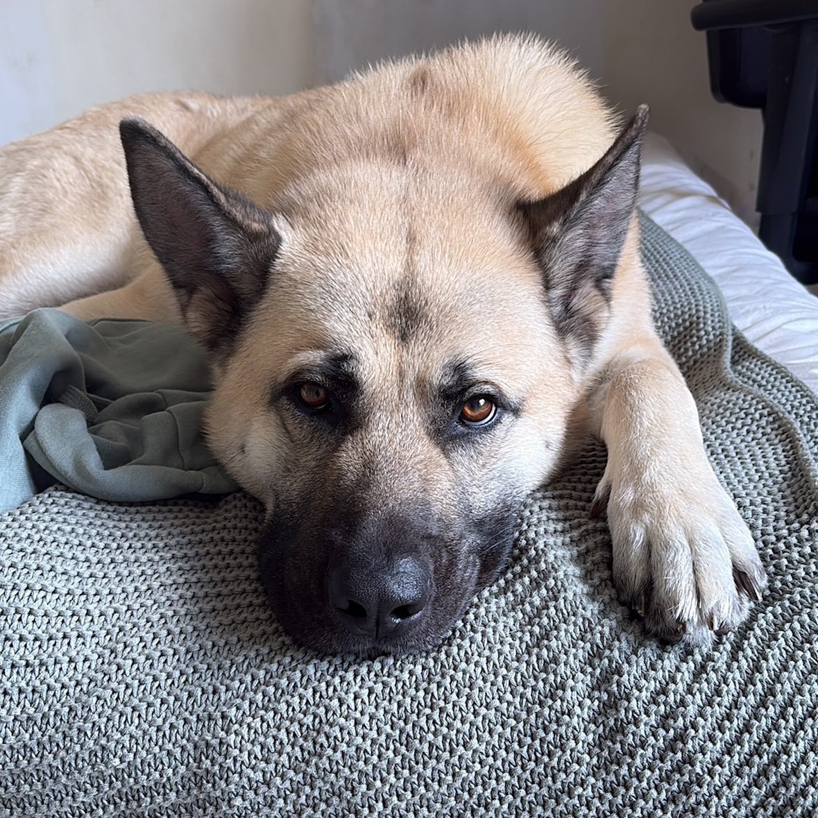 Zookeeper_Dan's profile picture. 