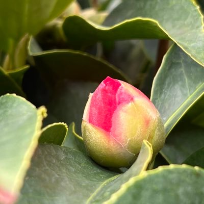 nwiqn263686's profile picture. 