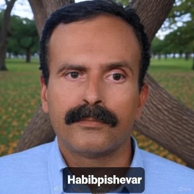 HabibPishevar's profile picture. 
