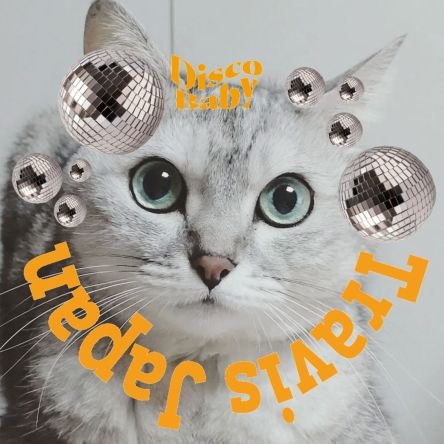 coooper98's profile picture. 💞▶猫/ピアス/献血/BUCK-TICK/キューライス/ヒグチユウコ/丸尾末広
🔰▶Travis Japan🐯/Snow Man/Aぇ! group
📻▶ #tama954 #nichiten #overthesun
👤▶五黄の寅年左利き独女