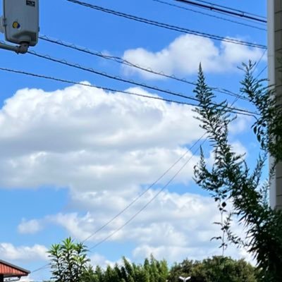 orinahafukao's profile picture. 