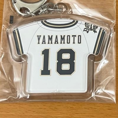 turbo_sg's profile picture. モータースポーツ、鉄道、音楽。本業は電気回路設計。自分で住んだことはないけれどルーツは神戸。鉄道趣味の原点は8800が入り始めた頃の新京成。