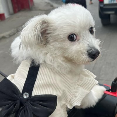 markoyszxc1st's profile picture. Feel free to donate solana 

Address: HoEjwVxdVZ53zb8Qu48Vw2YaHrEB3eaiXrHA4aamddNF