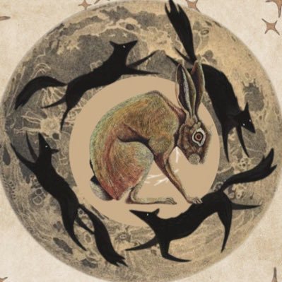 armyofgaycrows's profile picture. i know what it is to exist between the world’s certainties.