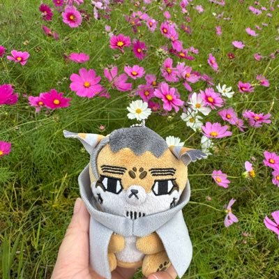 kri13i's profile picture. 成人夢女。FGO/刀剣/ﾊｲｶｰﾄﾞ/サカデイが好きです。 すみません無言フォローしてます。