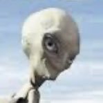 shiratamarock03's profile picture. 