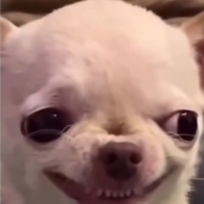 Shreyhavingfun's profile picture. in his thought-verse