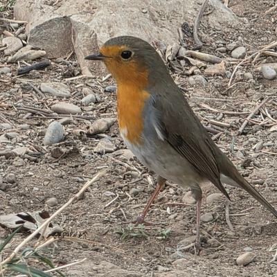 AshleyPelaez9's profile picture. La vida es bella y siempre a que vivirla para ti no para los demas .😉😘