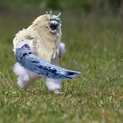 06pRpn's profile picture. 趣味はアリの巣に三ツ矢サイダーを入れること 荒野疲れた🙃 今日からゲリラ復帰(？)しました。デュオ、スク、クイン行けます。 @WQgD1ZSx2t53815 これ知り合いしか通しまてん