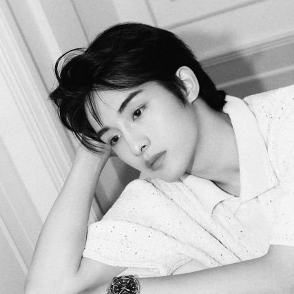 dongsichewg's profile picture. Tapped Oldtown’s core, burning with Hot Blud, 불꽃, forcing the playful under Sana’s command.