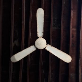 5euyi's profile picture. 