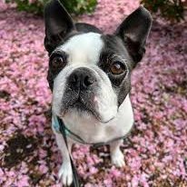 Dtraithng16's profile picture. 