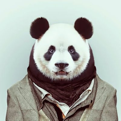 ToBuri82491's profile picture. 