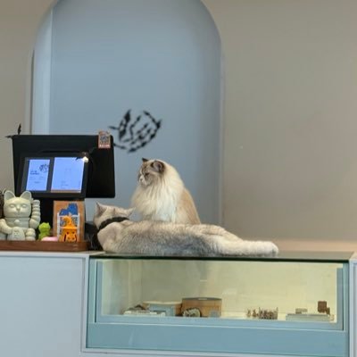 nrdeanna's profile picture. Aisy mommy