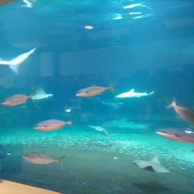 u2yo25ZKe841992's profile picture. 