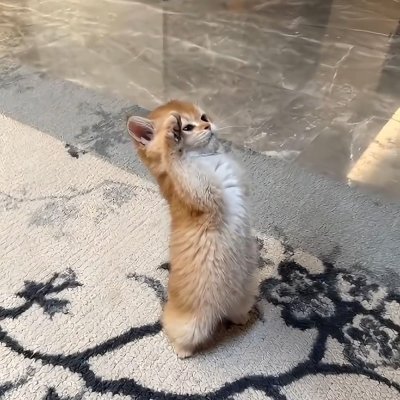 a_local_minima's profile picture. 