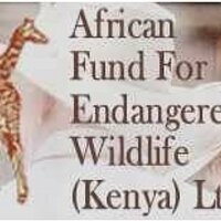 Giraffe Centre (@giraffecentre) 's Twitter Profile