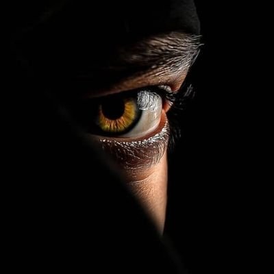 AbbaRayyan15725's profile picture. 