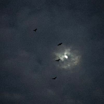 trustfactor07's profile picture. 