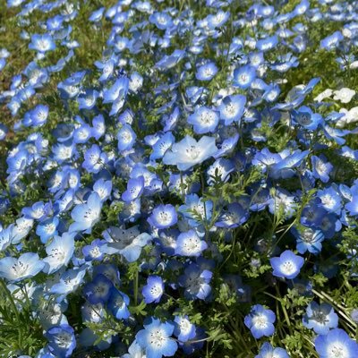 tgwkzk's profile picture. A physicist.